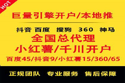 XX行业竞价广告的投放策略与效果分析